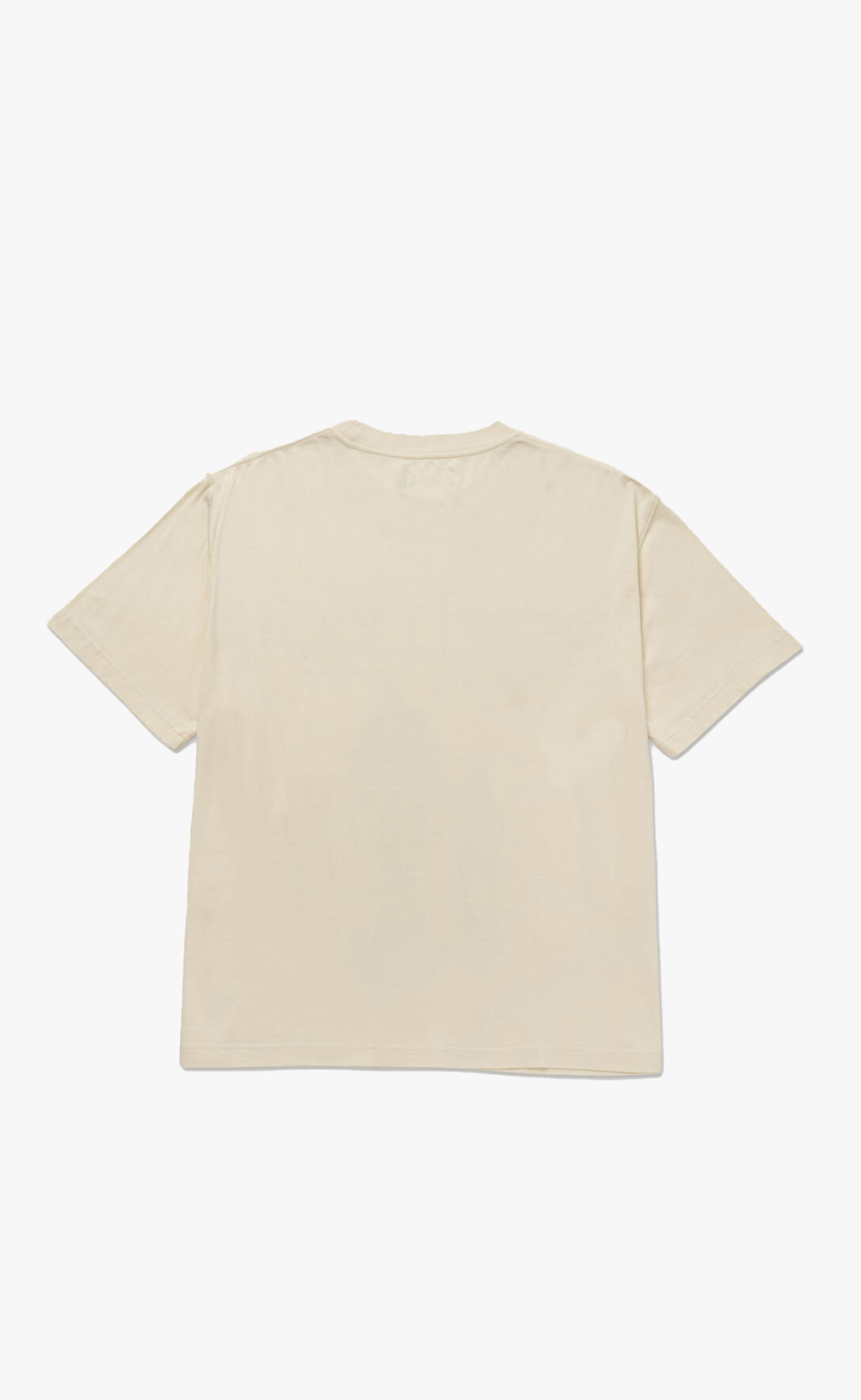 REBELLIOUS FOR OUR FATHERS BONE T-SHIRT