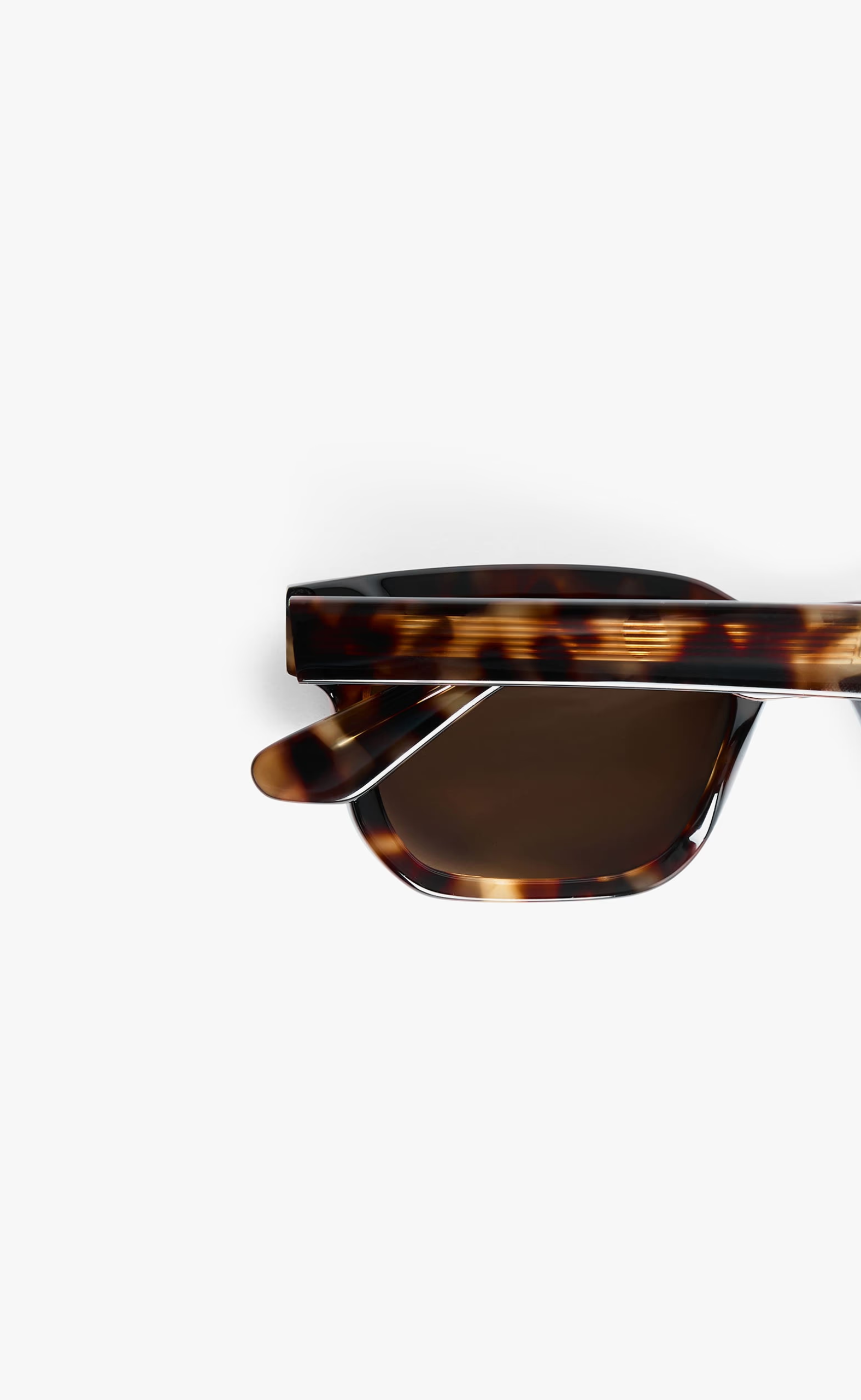 HAMPTON TOTOISE SUNGLASSES