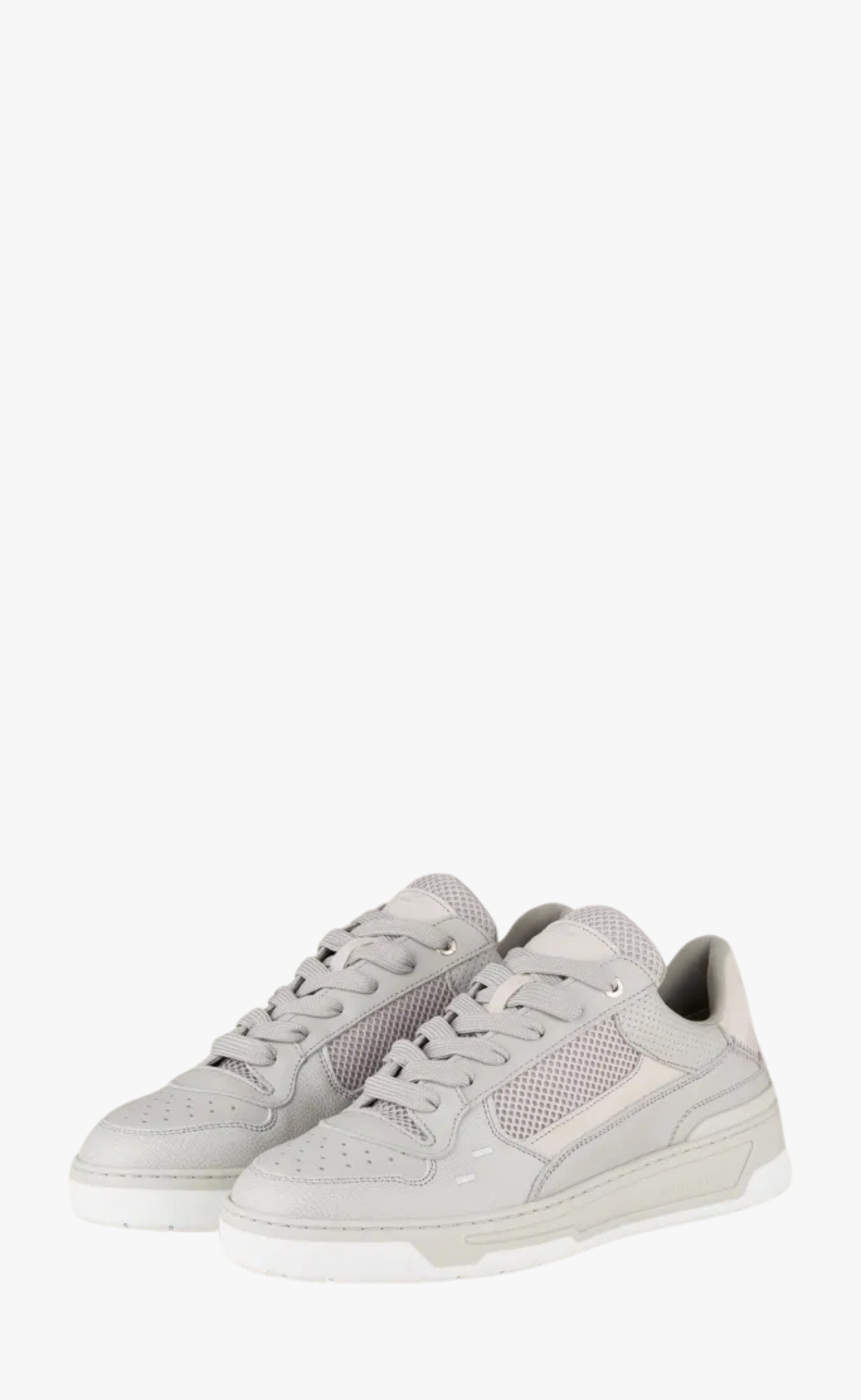 CRUISER CRUMBS GREY SNEAKER
