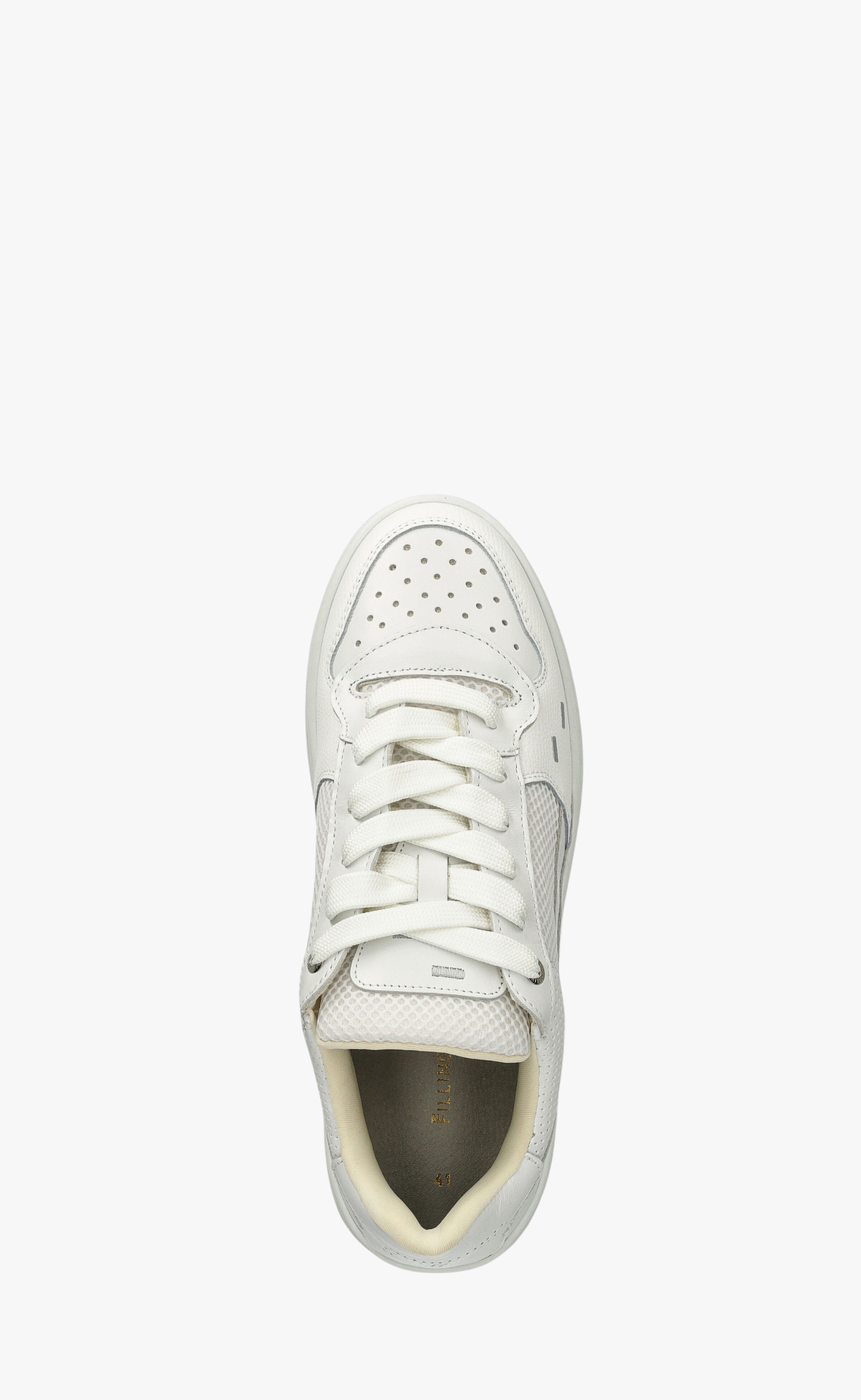 CRUISER CRUMBS WHITE SNEAKER