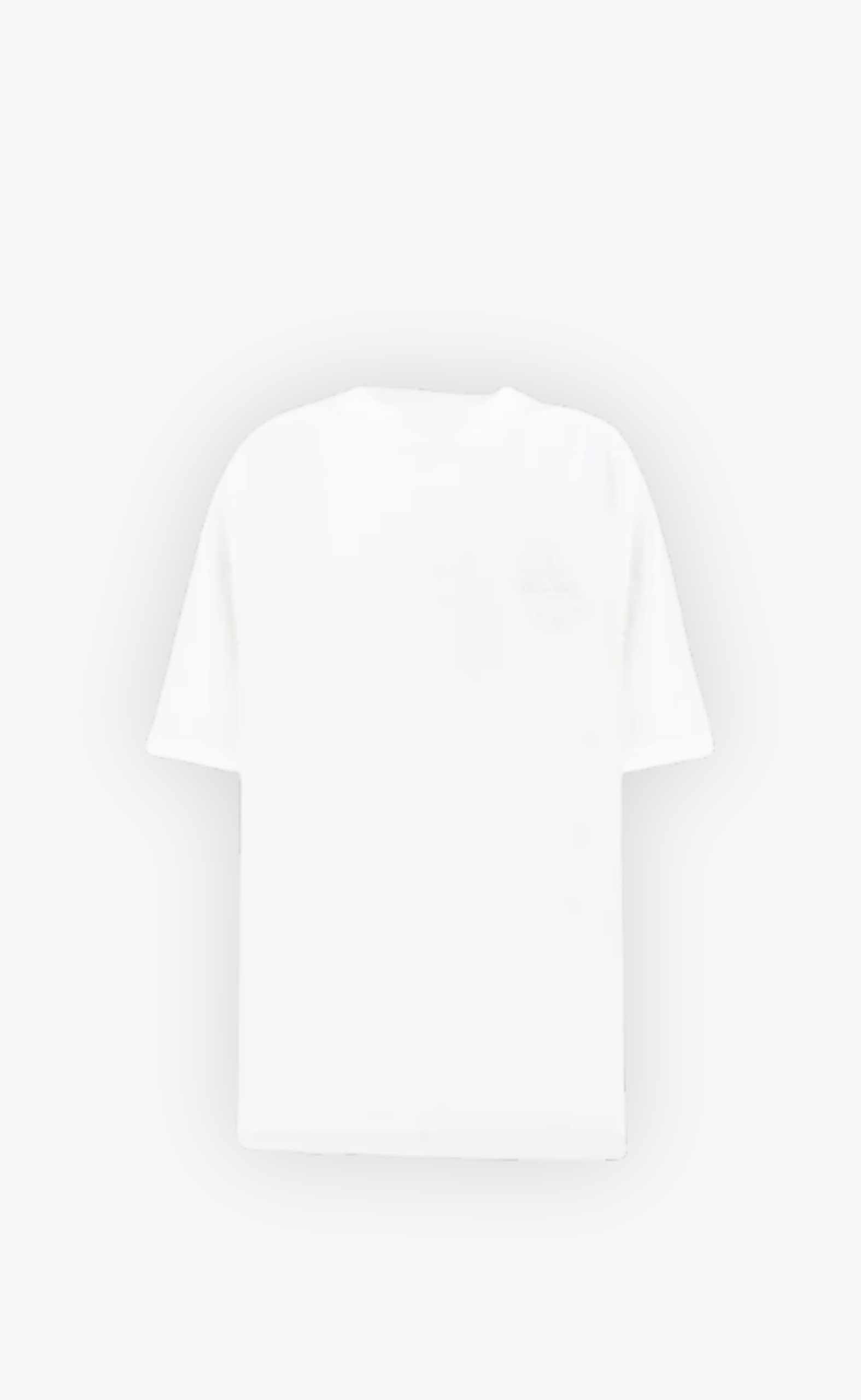 LOGO REGULAR ICE WHITE T-SHIRT