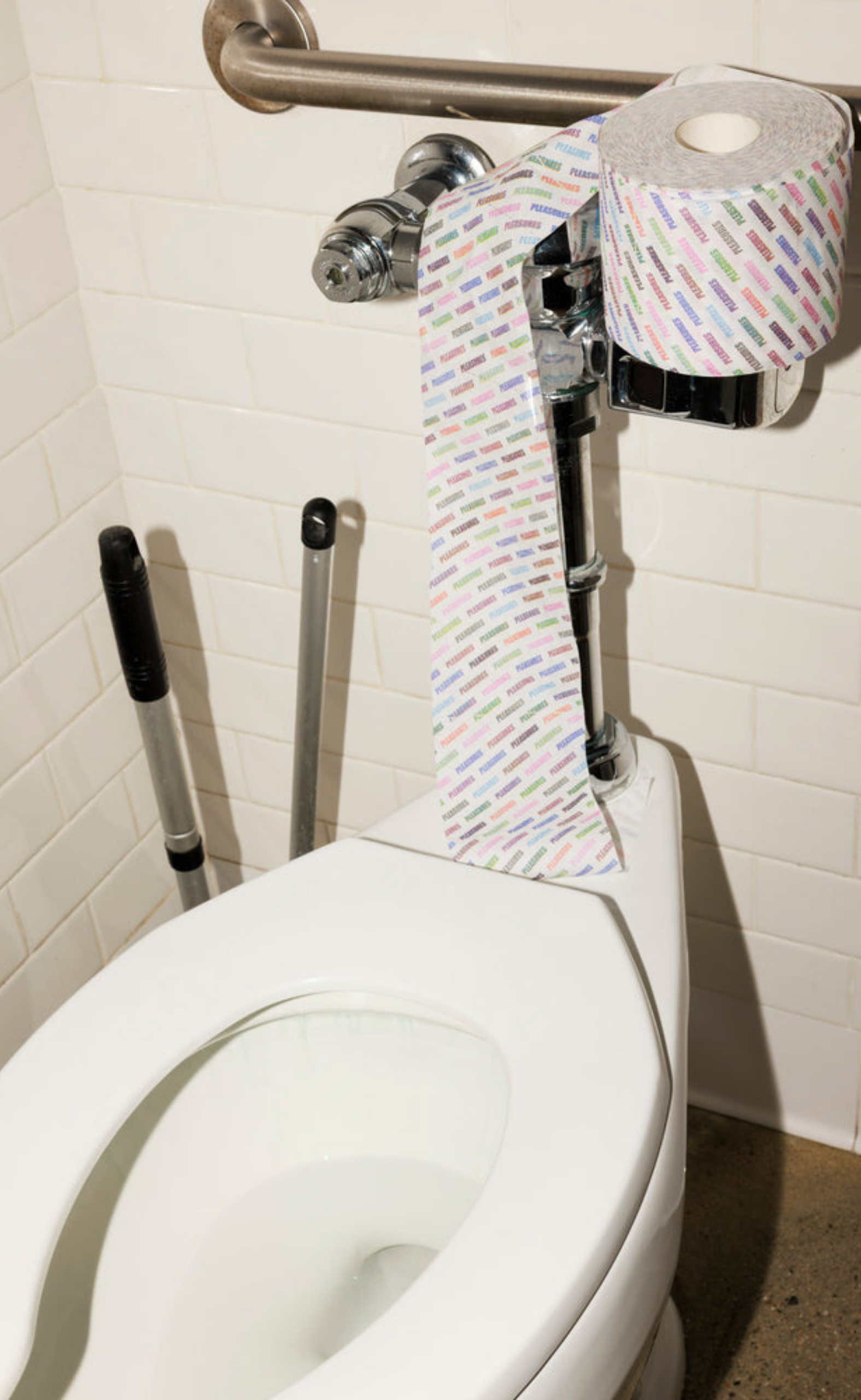 PLEASURES TOILET WHITE PAPER