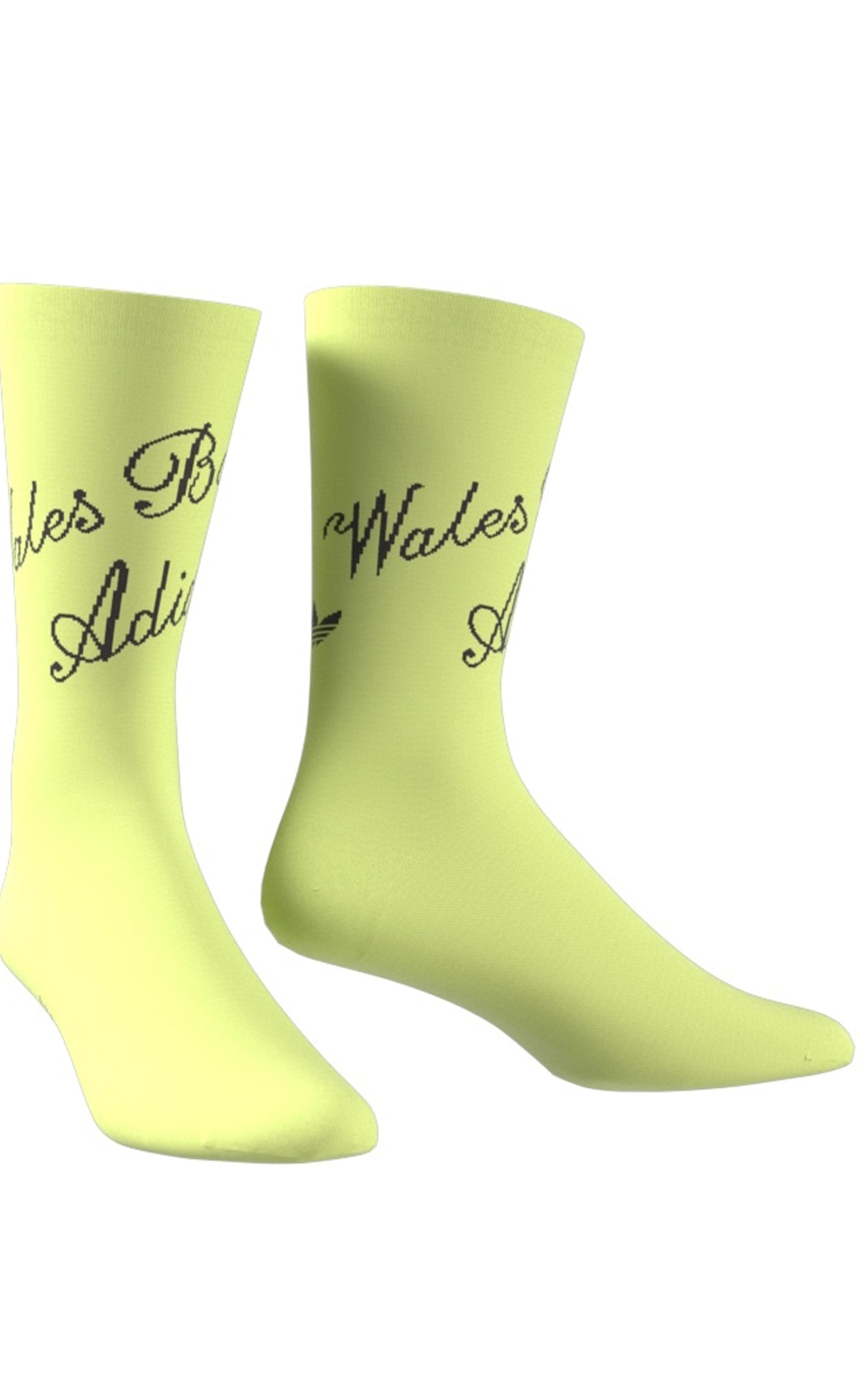 WB SHORT YELLOW SOCKS