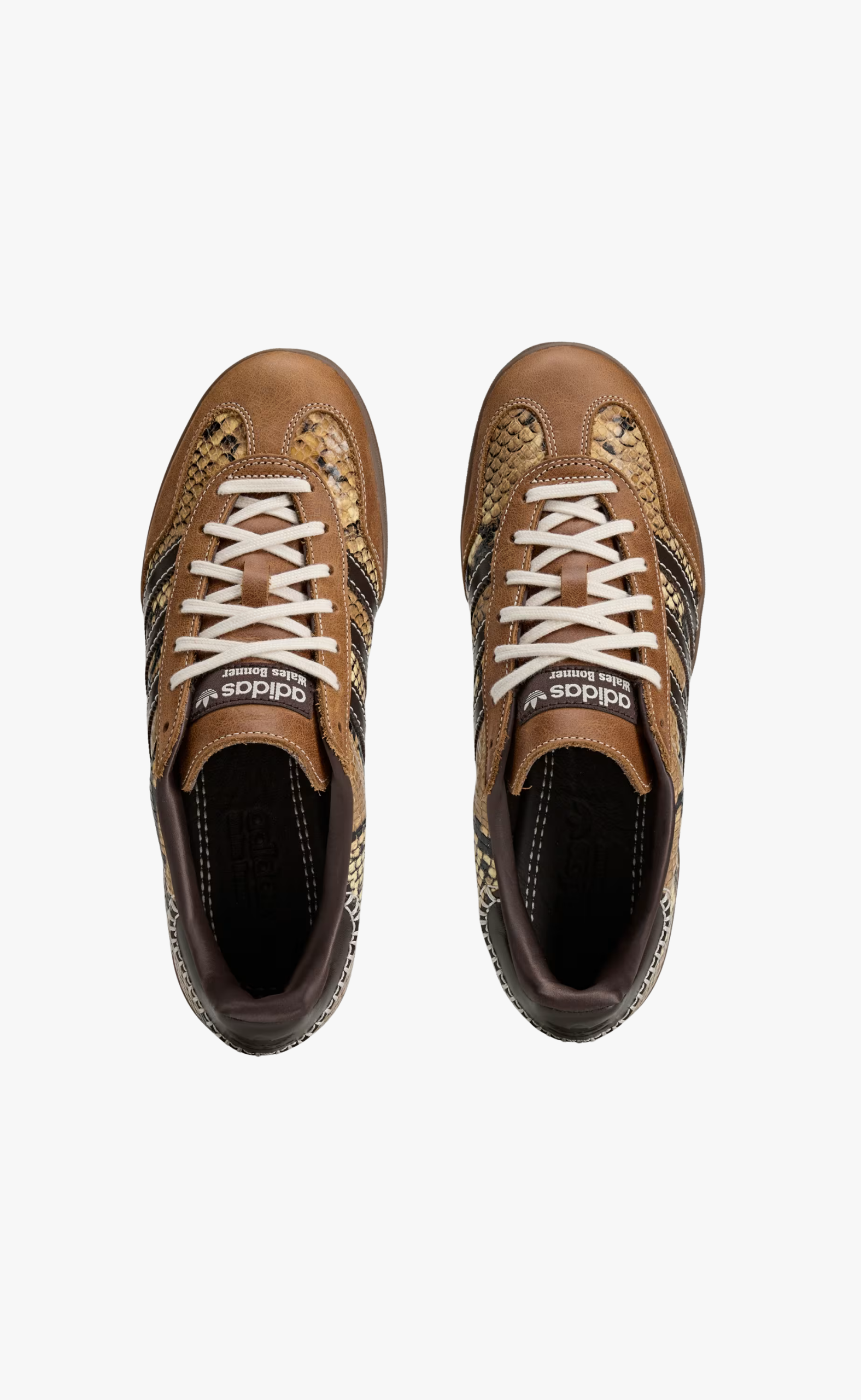 WB GAZELLE SNAKE SNEAKER