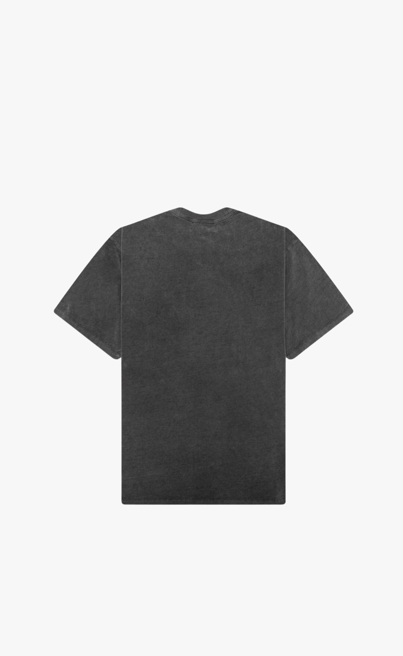 SCRIPT LOGO VINTAGE GREY T-SHIRT