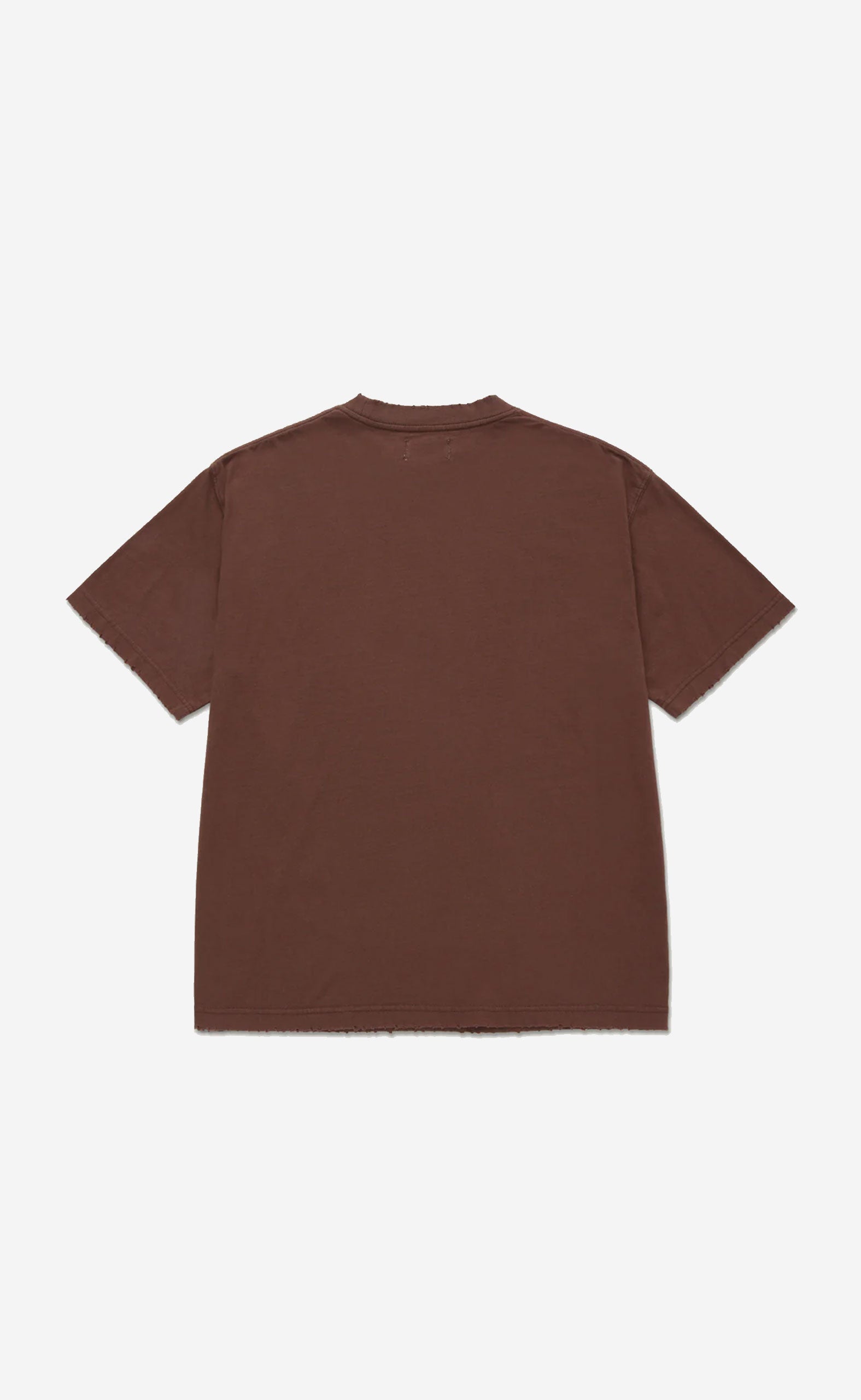 BROWN C-FALL MYSTERY OF PAIN TEE