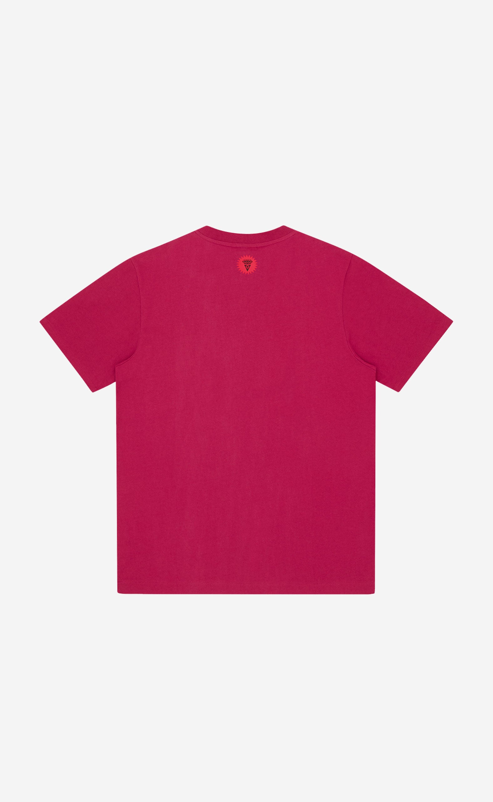 PINK COLLEGE T-SHIRT