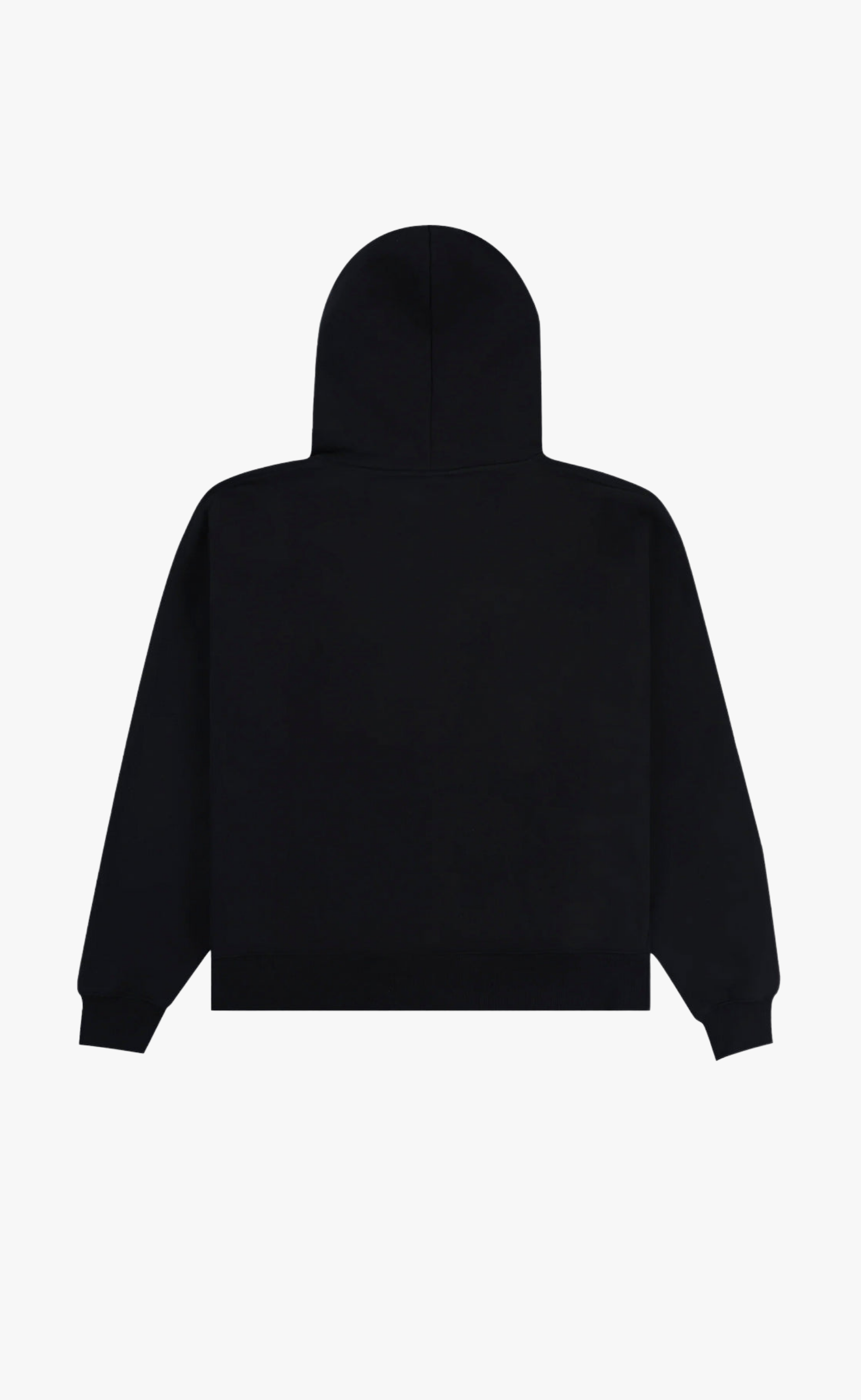 PUNK DUCK BLACK HOODIE