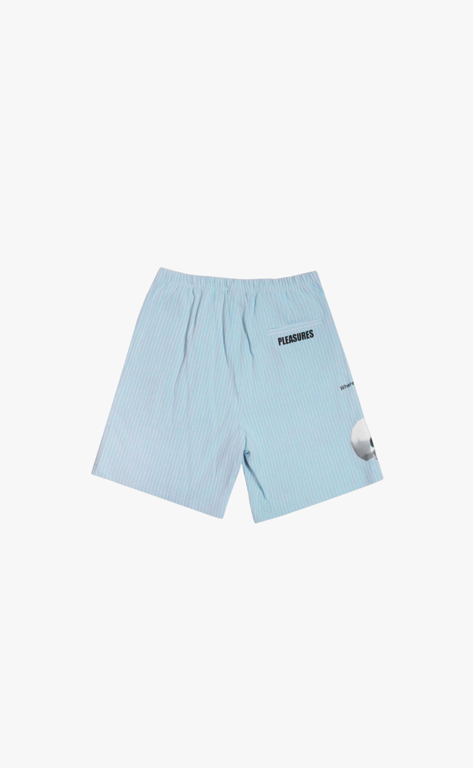 PET BLUE SHORTS 